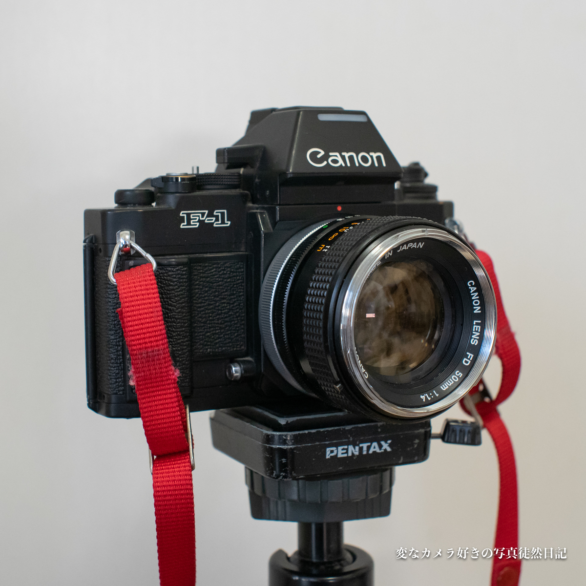 所持しているFDマウントの50mmを紹介 - 変なカメラ好きの写真徒然日記