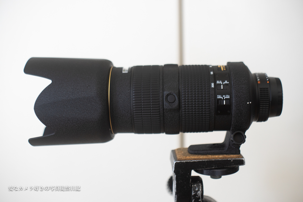 Nikon AF-S 80-200mm F2.8D(IF)を購入 - 変なカメラ好きの写真徒然日記