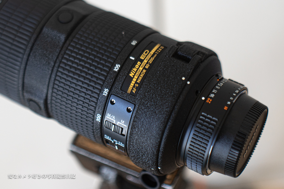 Nikon AF-S 80-200mm F2.8D(IF)を購入 - 変なカメラ好きの写真徒然日記