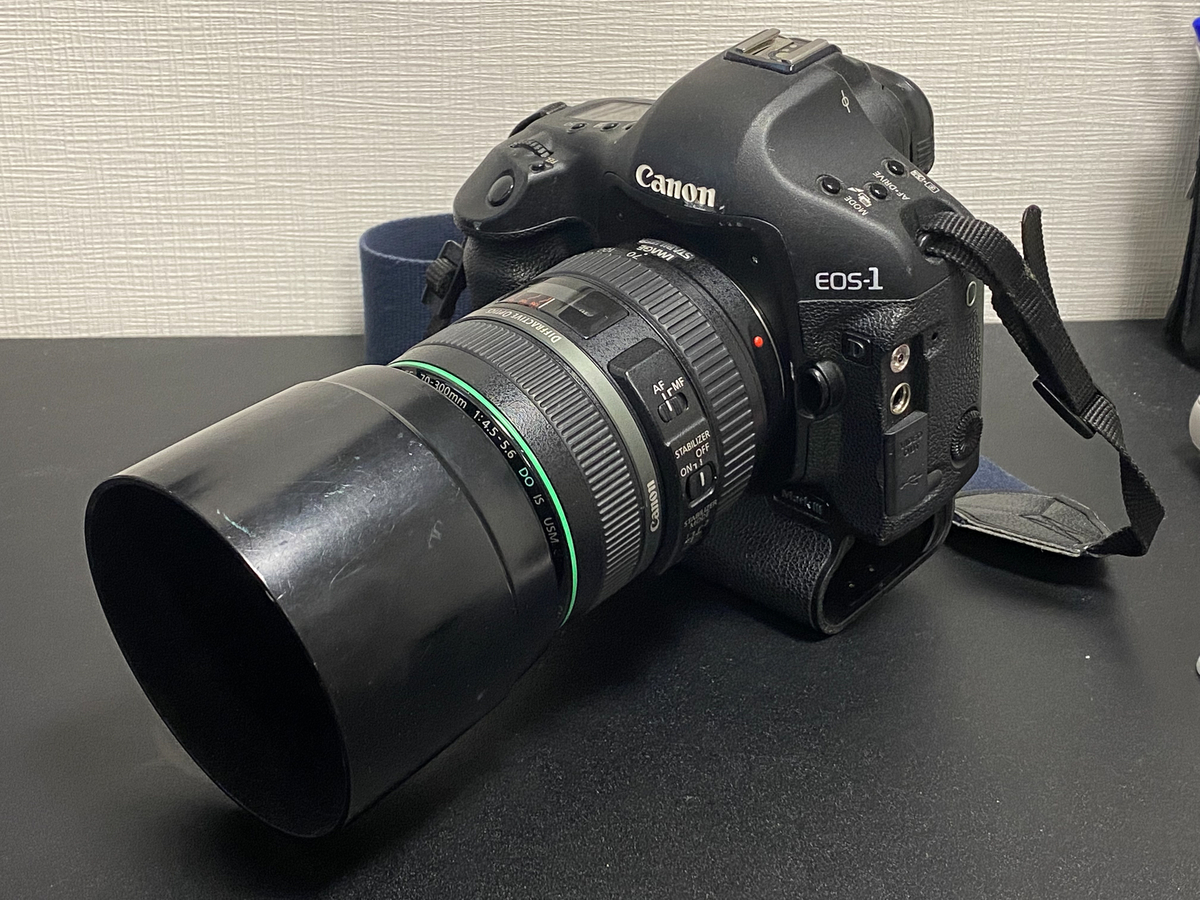 EF 70-300mm F4-5.6 DO IS USMを衝動買いする - 変なカメラ好きの写真