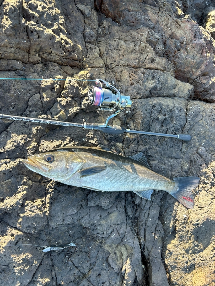 ロックフィッシュロッド『ドリームコンスリー88H』レビュー