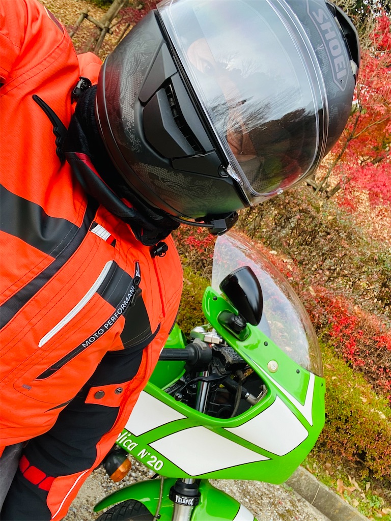 ド派手に行くゼェ！メタセコイア」ゴディエジュヌー 1135R - kawasaki