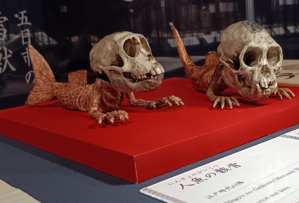 幻獣 信じられてきたものたち」展で妖怪のミイラその他を見てきました