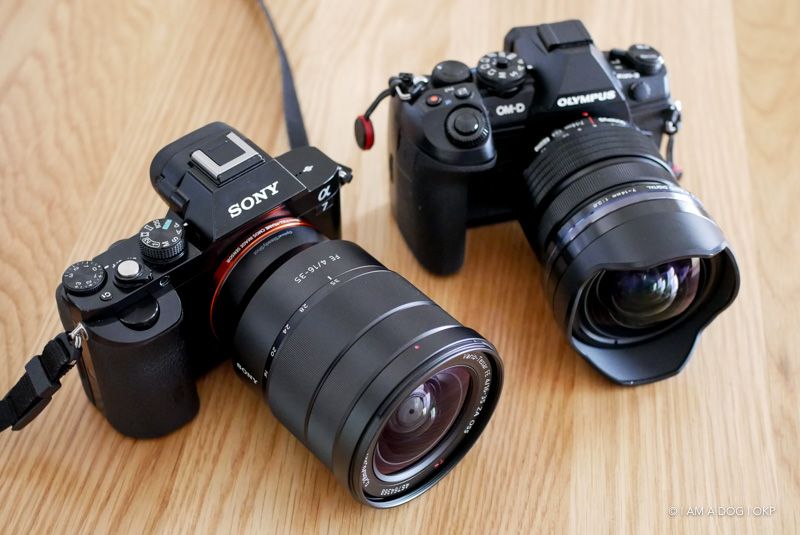 MFT広角ズームの決定版となるか？ Panasonic LEICA DG VARIO-ELMARIT 8