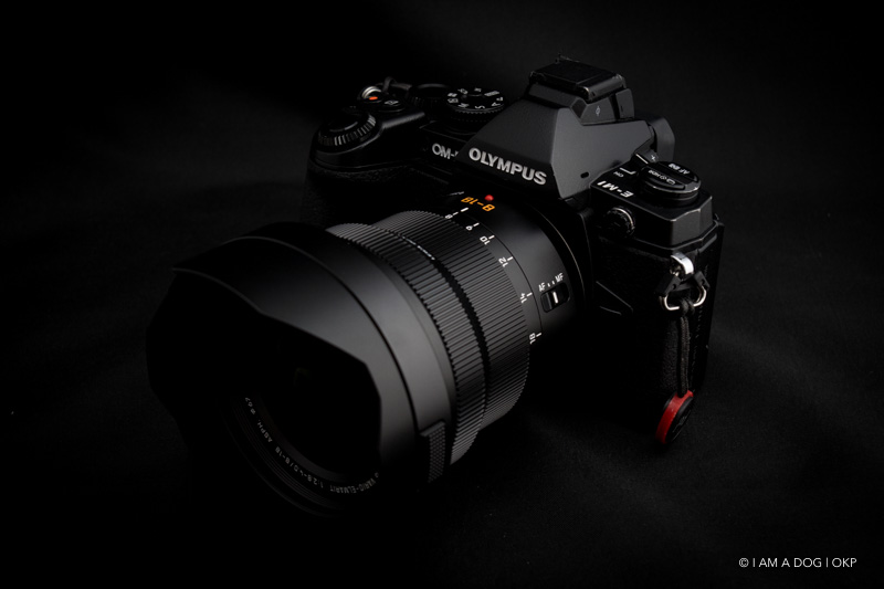 MFT広角ズームの決定版となるか？ Panasonic LEICA DG VARIO-ELMARIT 8