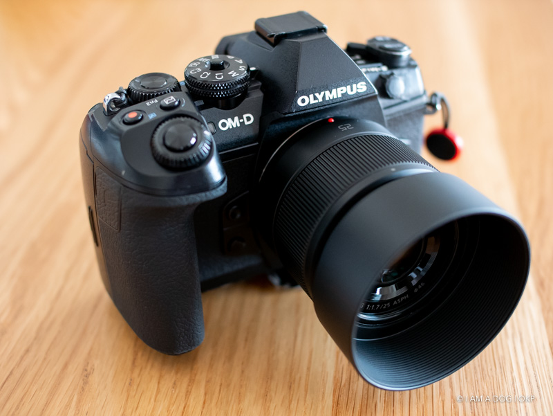 MFTの撒き餌レンズPanasonic LUMIX G 25mm F1.7 ASPH.はとても普通で