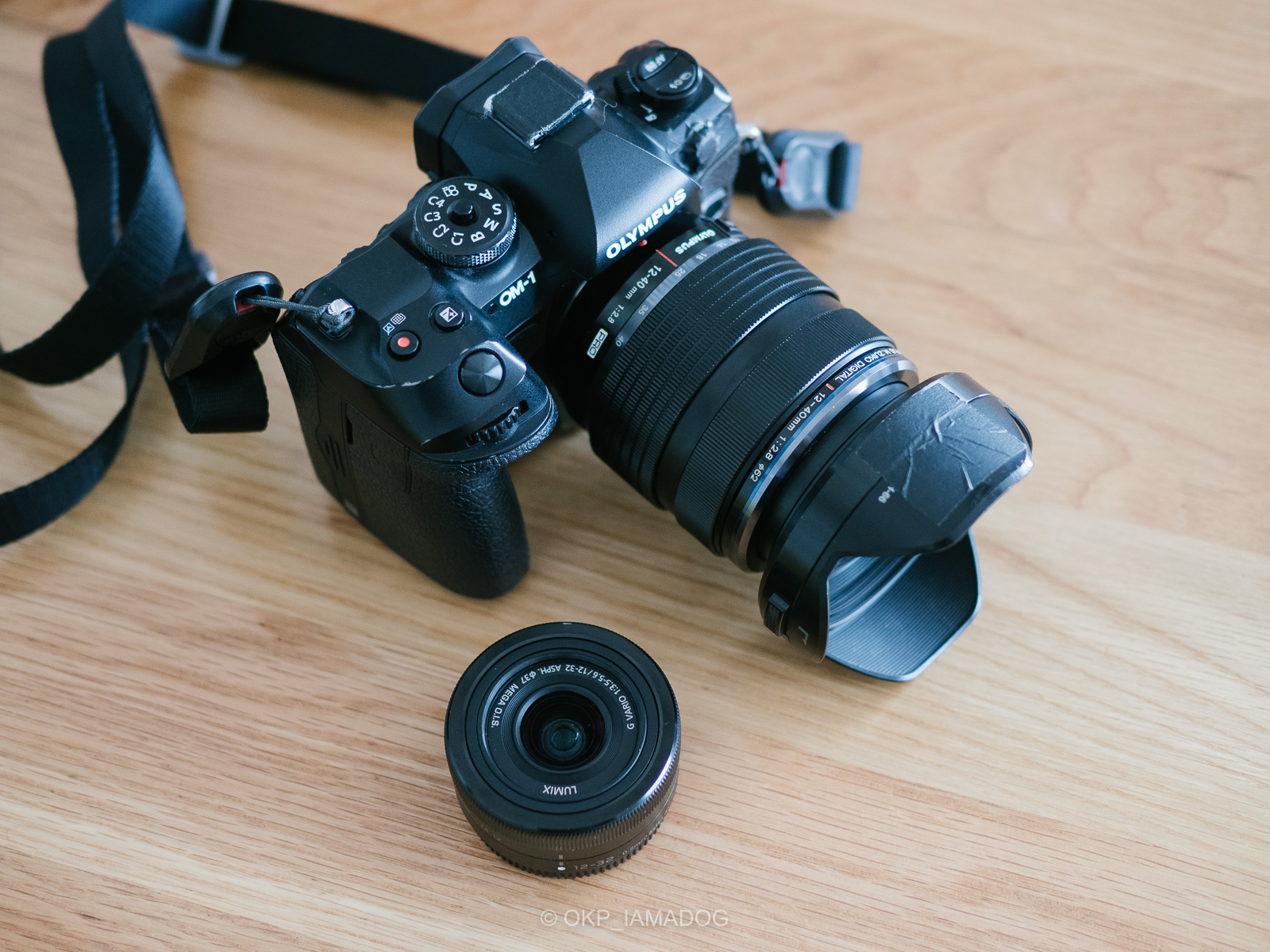 記録写真に最適なパンケーキズーム、パナソニック LUMIX G VARIO 12