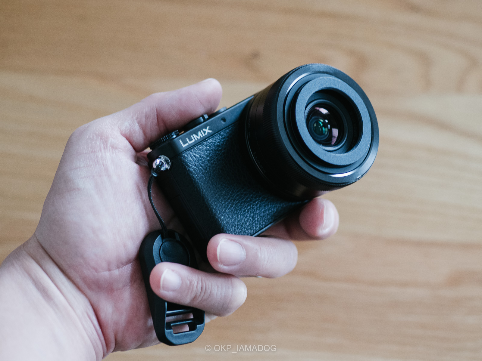 記録写真に最適なパンケーキズーム、パナソニック LUMIX G VARIO 12