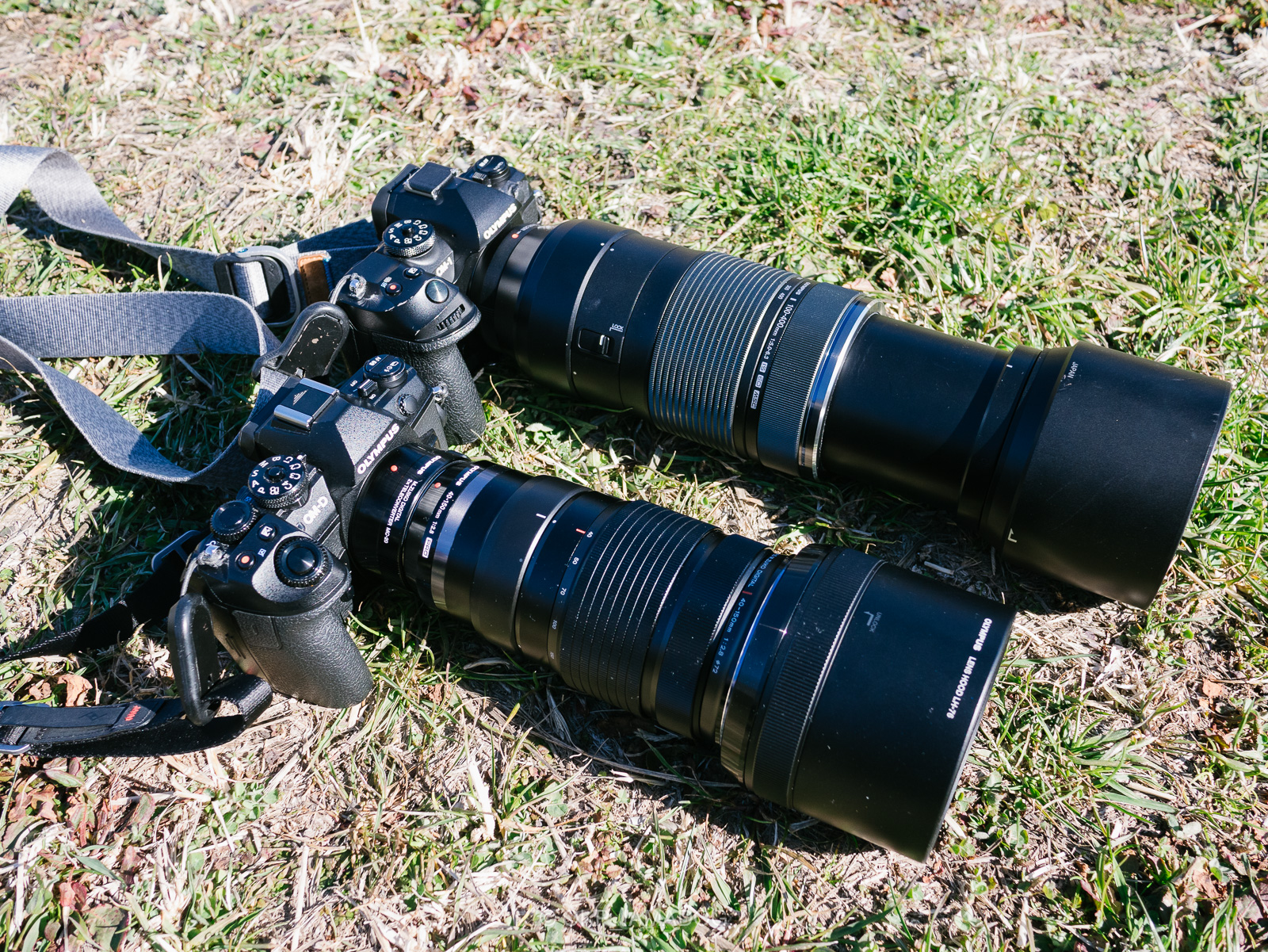 M.ZUIKO DIGITAL ED 40-150mm F2.8 PRO + MC-20とM.ZUIKO DIGITAL ED