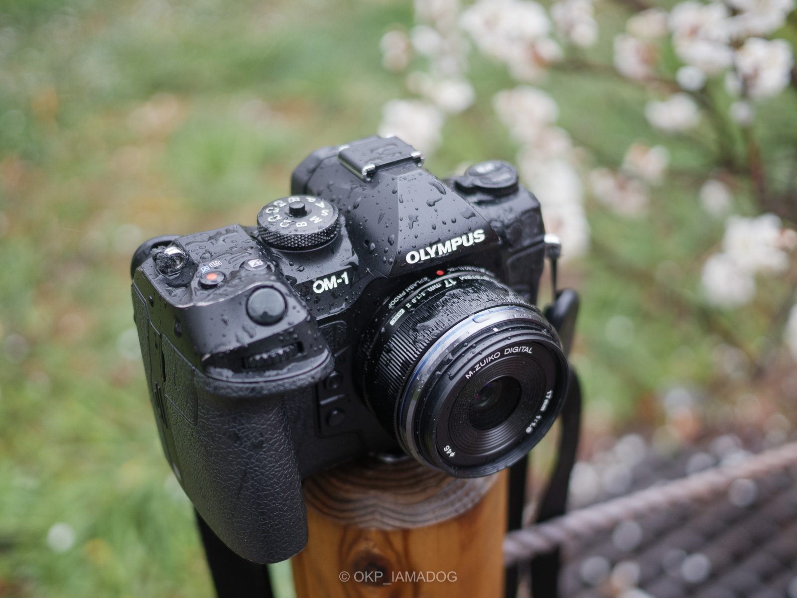 防塵防滴になったOM SYSTEM M.ZUIKO DIGITAL 17mm F1.8 II を購入、雨