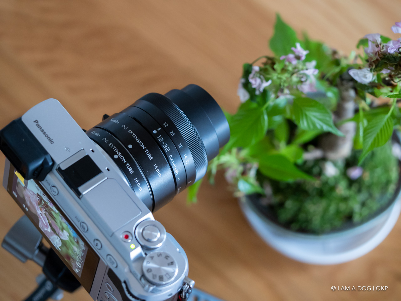 Kenkoの接写リングセットを使ってキットレンズでも手軽にマクロ撮影