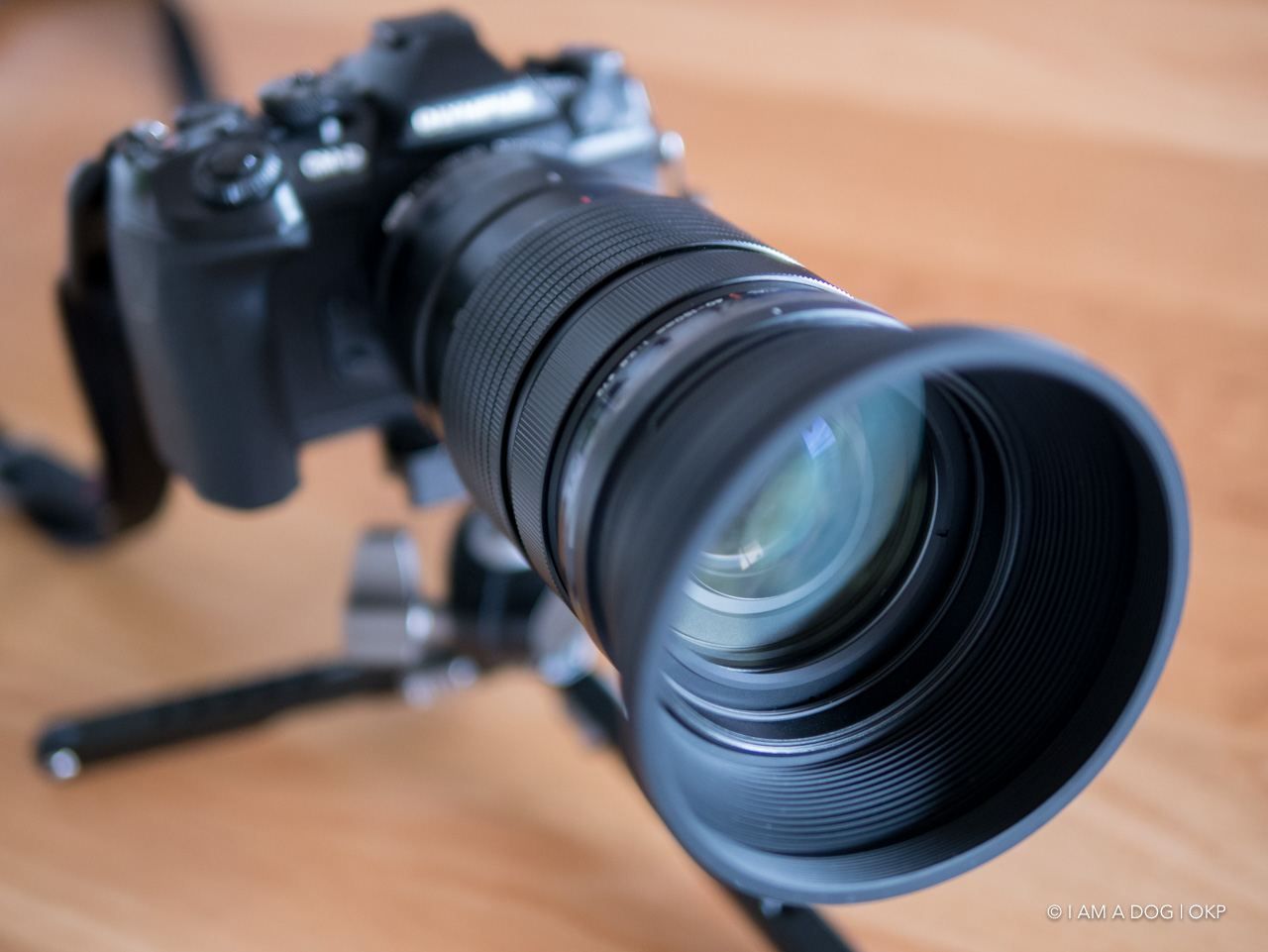 オリンパス M.ZUIKO 40-150mm F2.8 PROのレンズフードが巨大過ぎるので