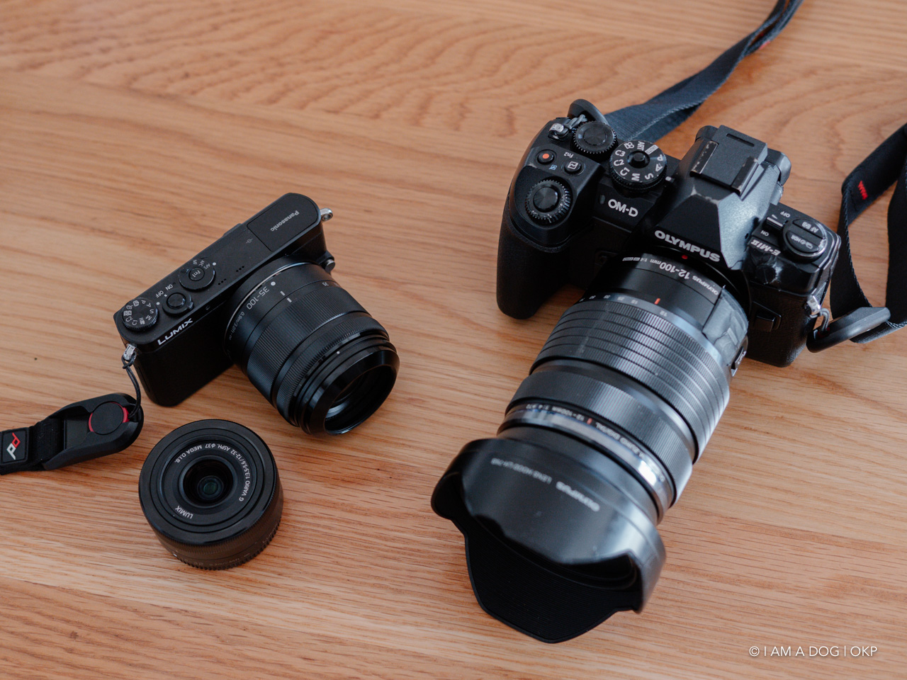 こんなレンズがあるからm4/3は面白い！ LUMIX G VARIO 35-100mm / F4.0