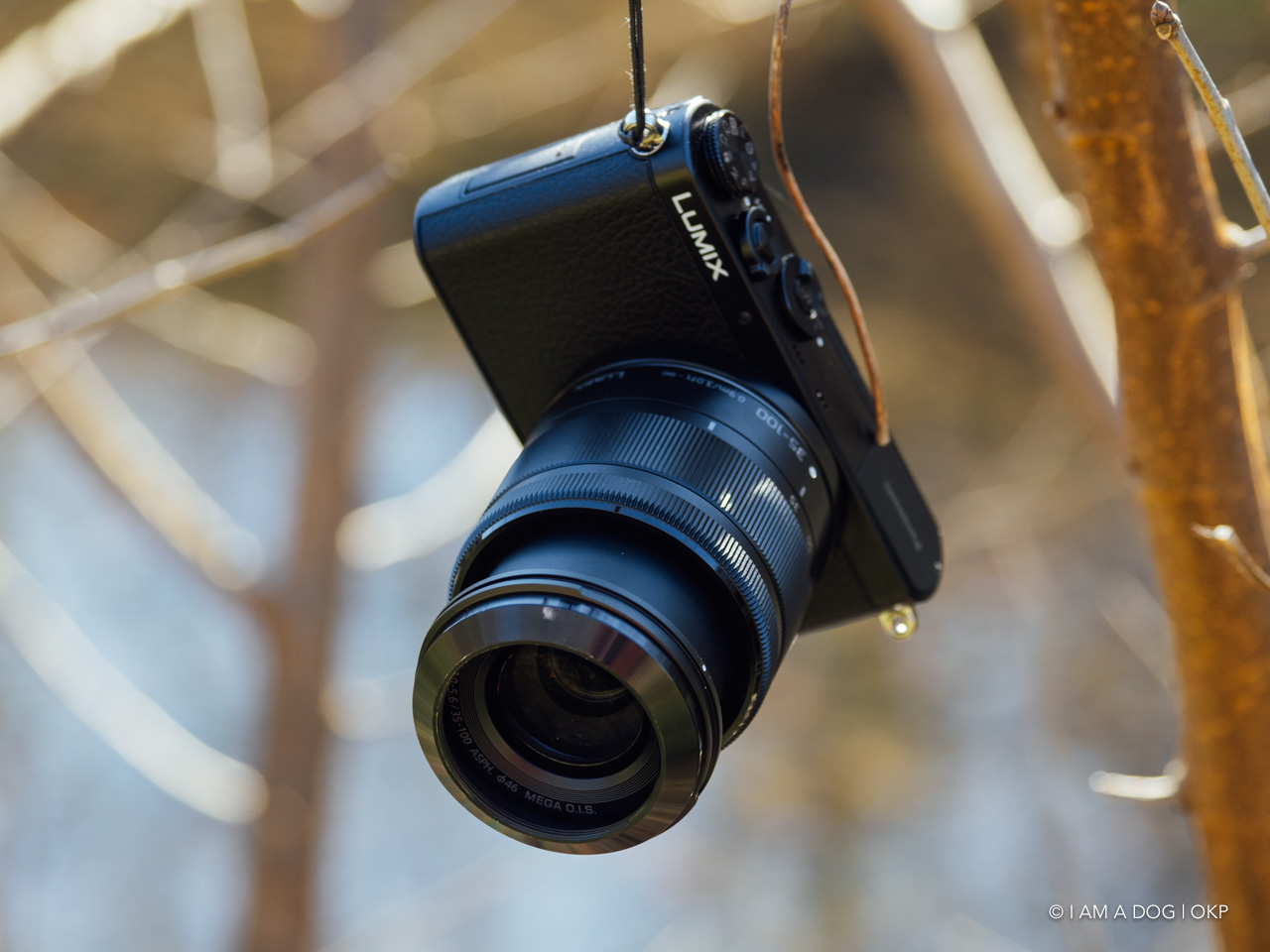 こんなレンズがあるからm4/3は面白い！ LUMIX G VARIO 35-100mm / F4.0