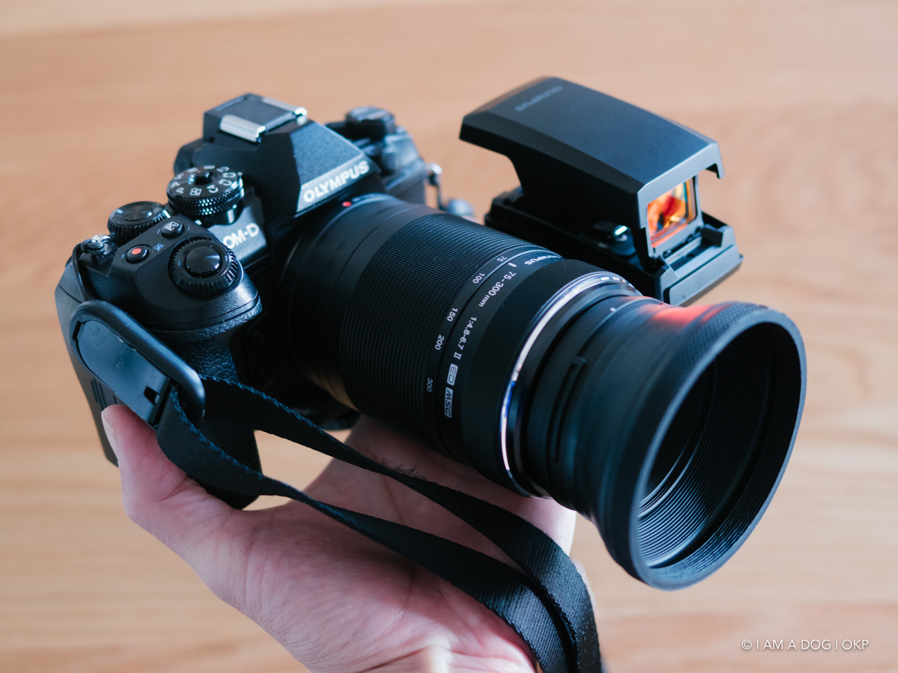 もっと評価されて良いのでは？ 3万円台の超望遠ズーム M.ZUIKO DIGITAL