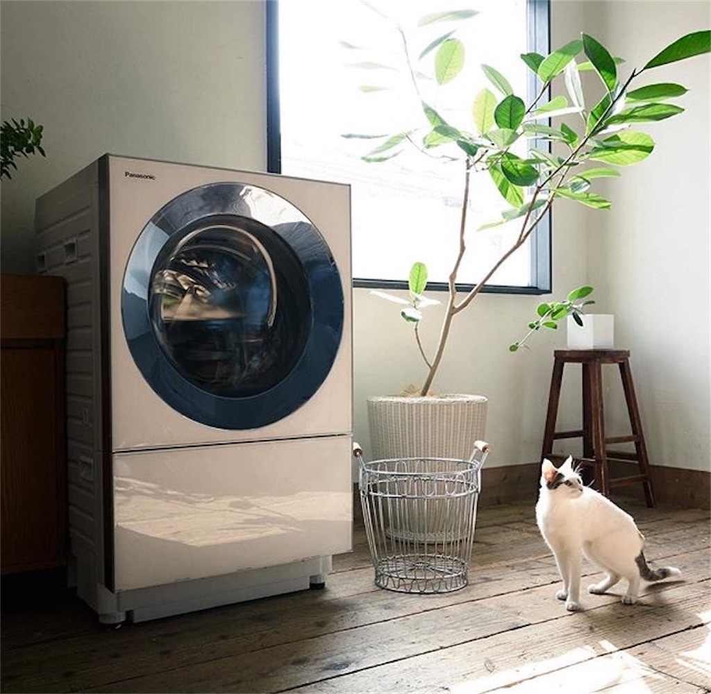 乾燥機付き洗濯機の選び方のポイント】デザイン第一主義のわたしが