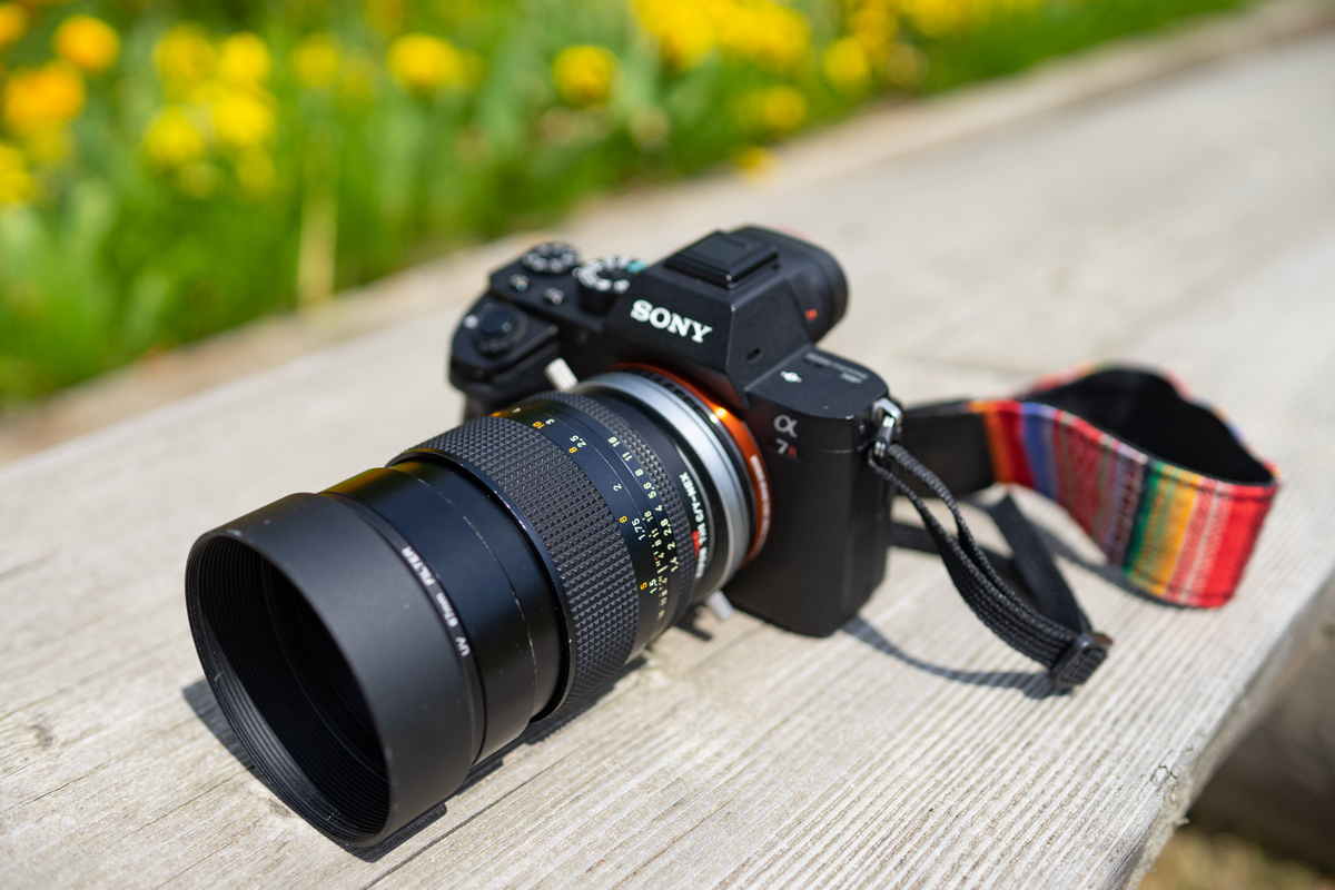 クリアな描写が美しい：CONTAX Planar T*85mm F1.4 AEG - レンズを絵筆