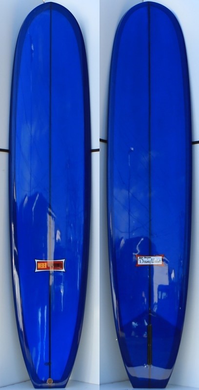 伝統的なハチェットフィン - シーコング店長ブログ