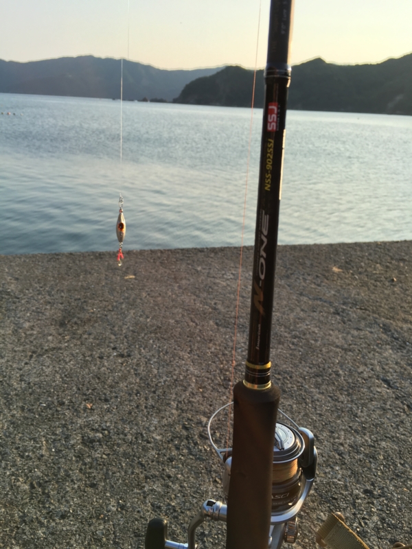 新ロッドN-ONE NSS-902SSJの初陣 ショアジギ釣果 [メジャークラフト