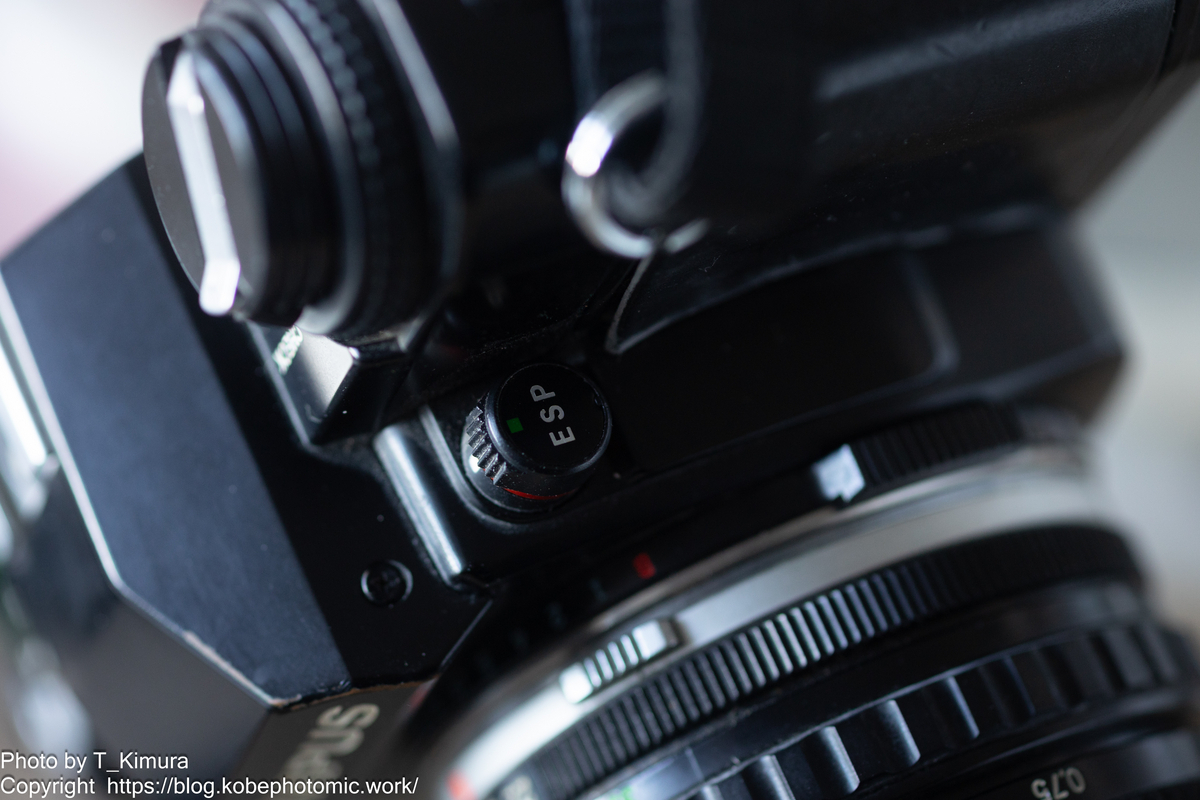 逆光強（ｷﾞｬｯｺｳﾂﾖｼ）です - 雑食カメラマンの雑感記