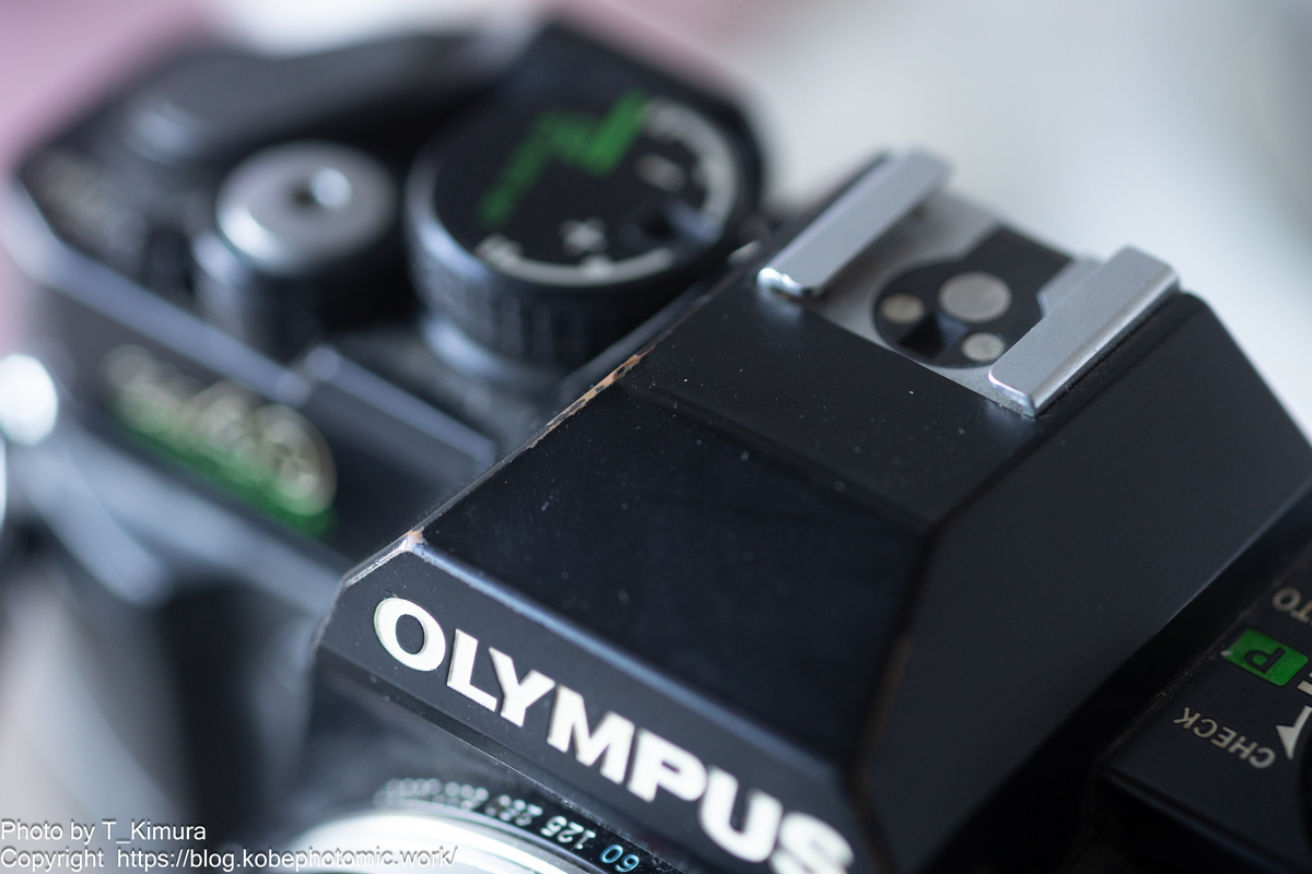 逆光強（ｷﾞｬｯｺｳﾂﾖｼ）です - 雑食カメラマンの雑感記