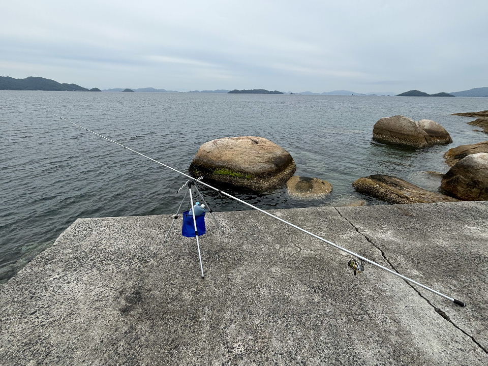 初心者が1年使ってみたロッド ダイワ プライムサーフT 25号-405・W