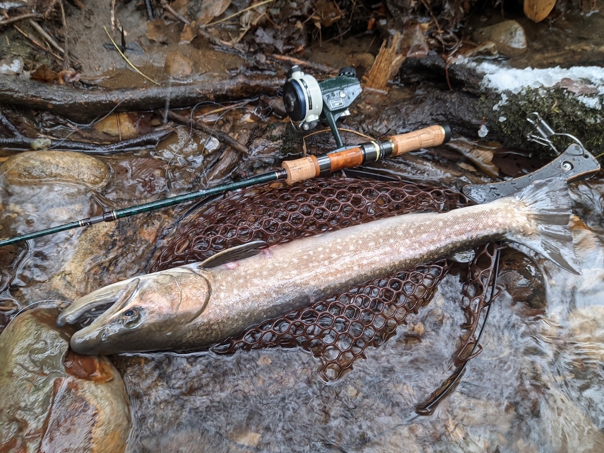 オールドリール ABU Cardinal カーディナル33 と カーディナル44