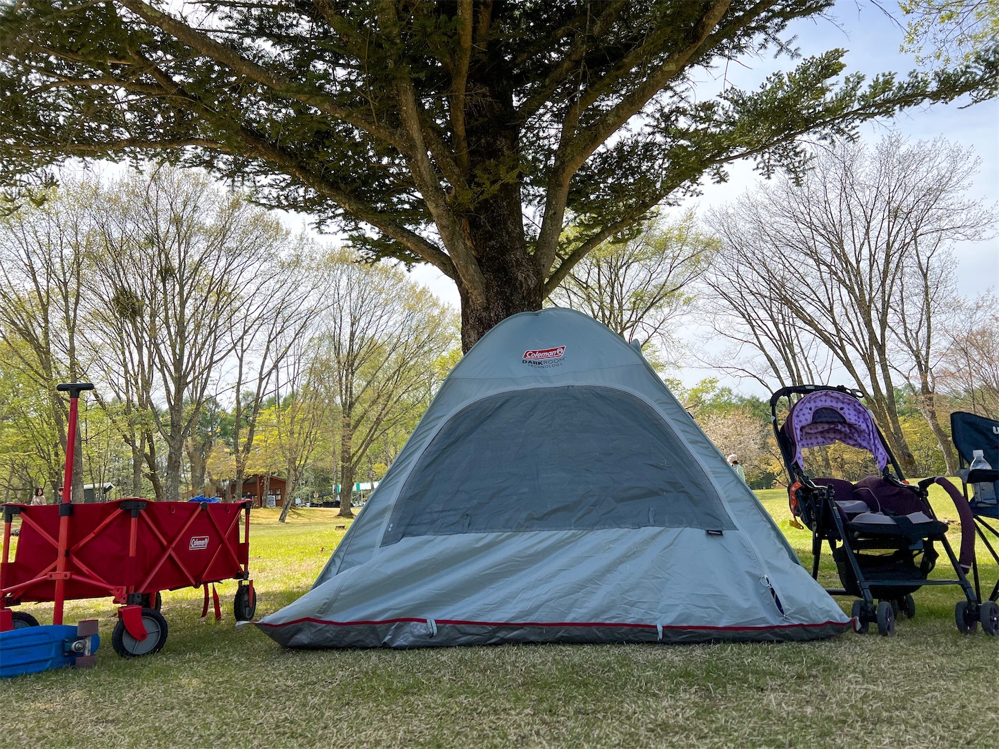 コールマンの「クイックアップIGシェード＋」を購入、レビューします