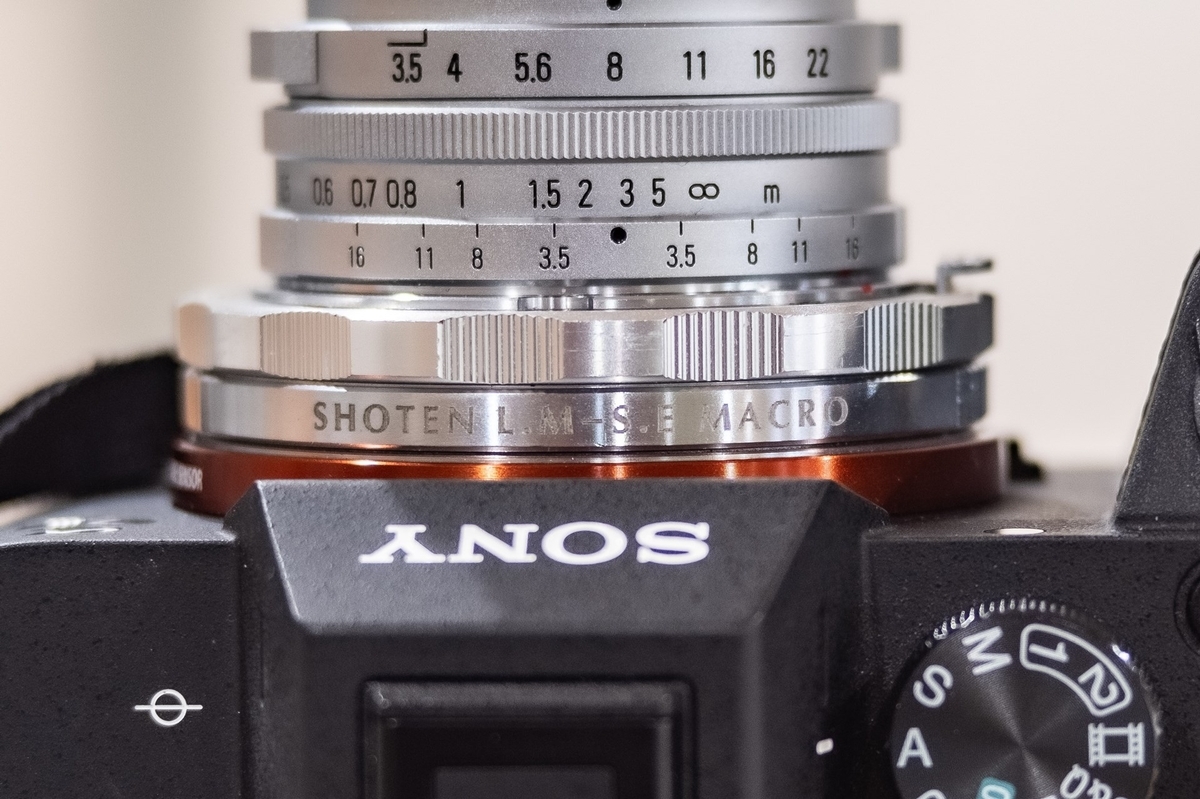 RICOH GR LENS 21mm F3.5 2024.12.17 - KOTARO-PARADISE ・From Kochi