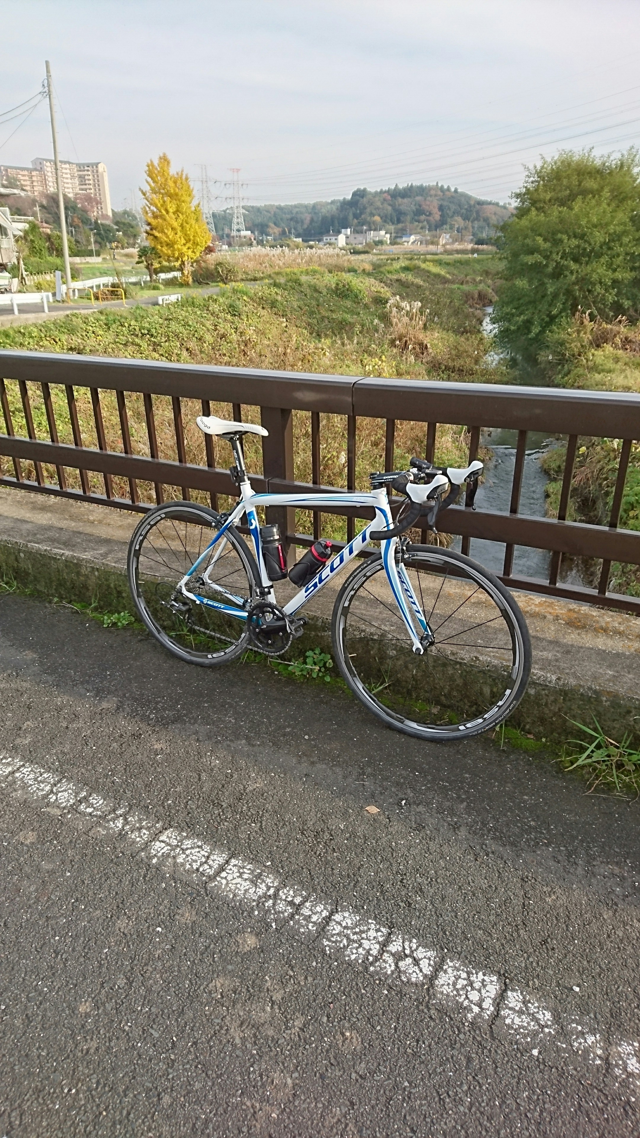 SCOTT SPEEDSTER S55（2011）（自転車本体） - 坂道は嫌いです