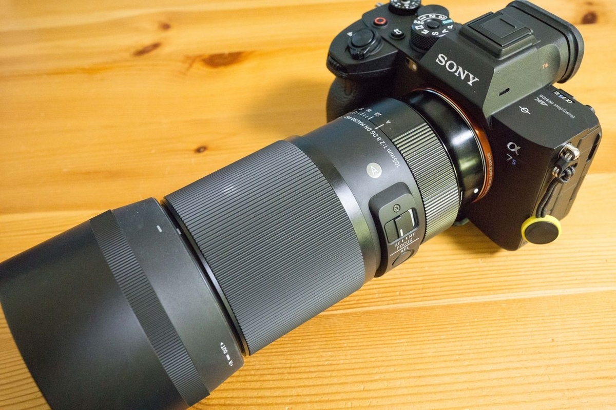 機材レビュー】SIGMA 105mm F2.8 DGDN Macro Art 最強のマクロレンズ