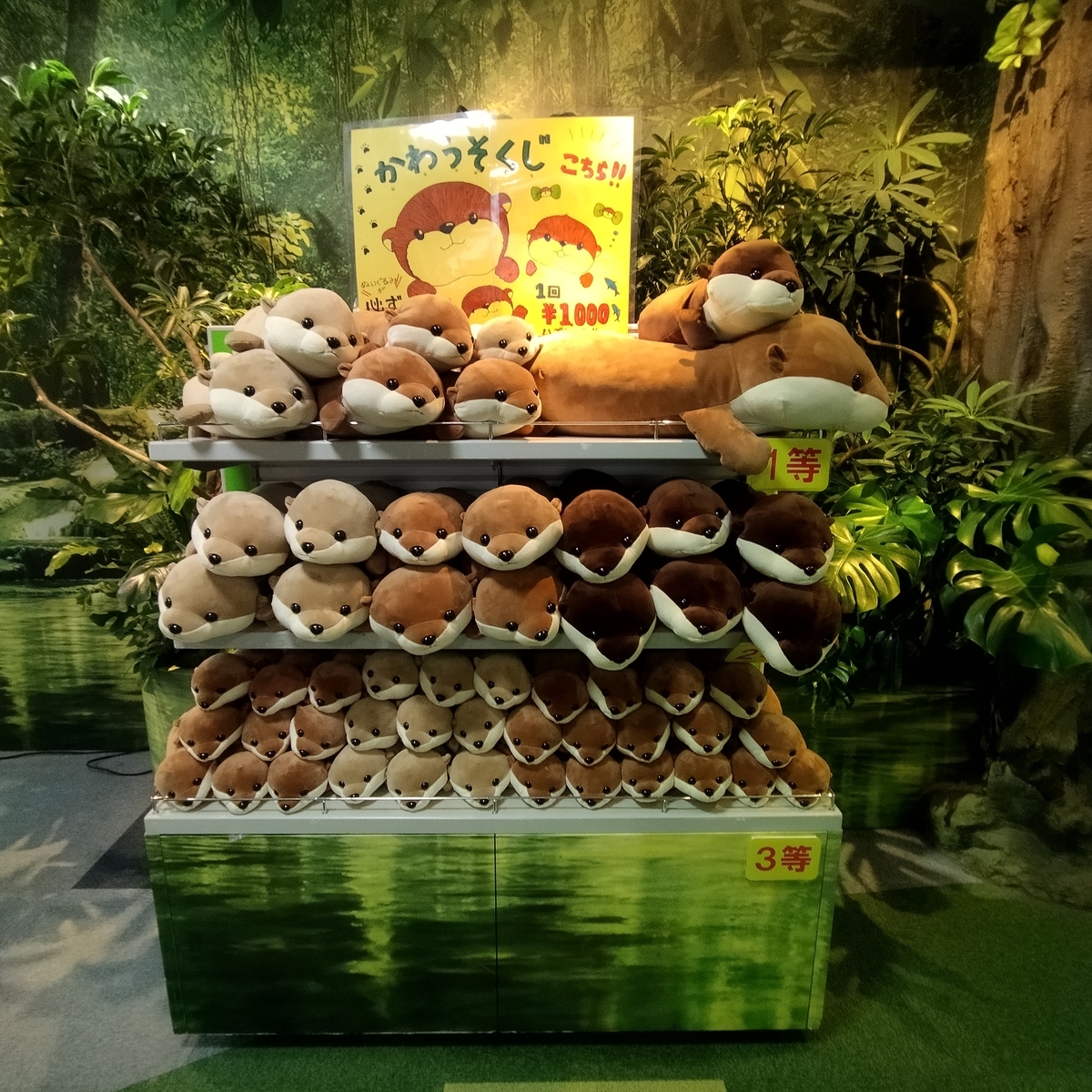 大人気！ 全国カワウソぬいぐるみくじ まとめ - ぬいぐるみくじ発見紀