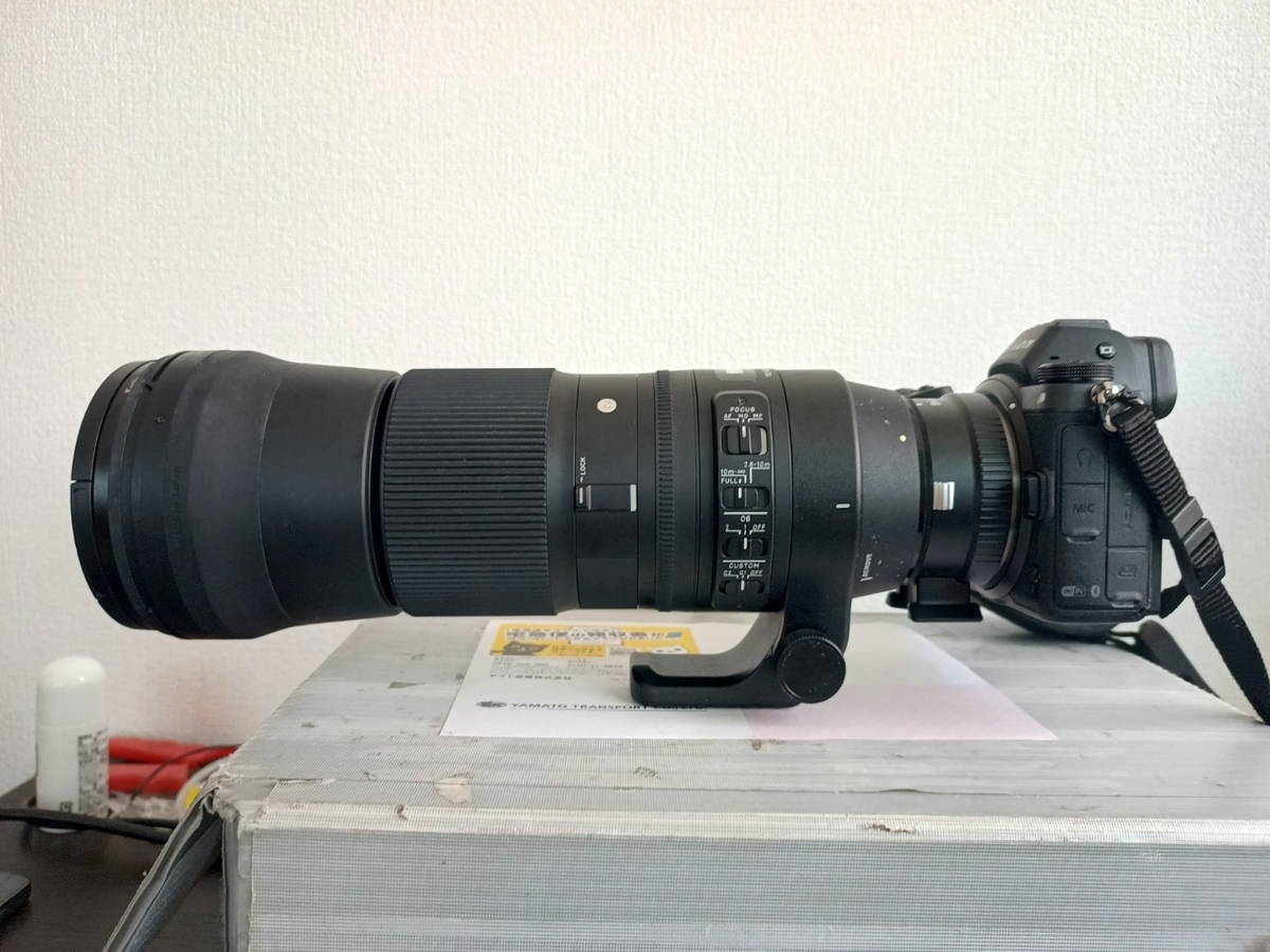 Nikon Z7＋Fringer FR-NZ1＋SIGMA 150-600mm F5-6.3 DG OS HSM