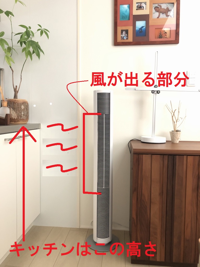 夏が終わる前に…タワー型扇風機Stadler Form (スタドラフォーム) Peter