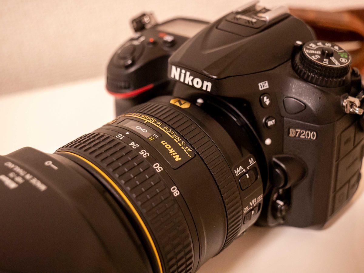 作例あり」Nikonのレンズ AF-S DX NIKKOR 16-80mm F2.8-4E ED VRを購入