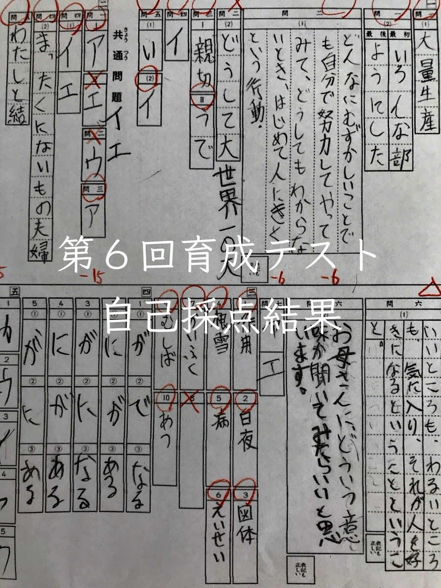 日能研 第6回育成テスト 自己採点結果 - 私とアルの365日
