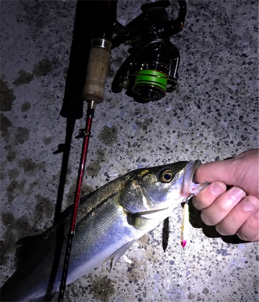 トラウトロッドレビュー】まことの相棒！カーディフAX S62SUL-Fは買っ