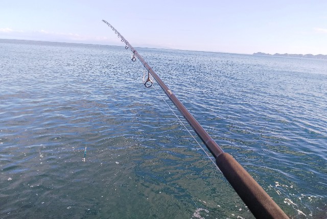 ゼナック ミュートス アキュラ 100H RG インプレ - ルアりずむ