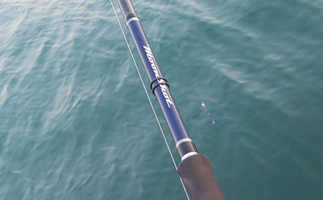 Moon Shot S906M ショアジギングロッドビーチウォーカーハウルセット