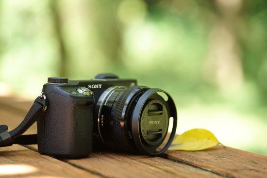 レビュー】『SONY α6400/NEX-6』と『E PZ 16-50mm F3.5-5.6 OSS