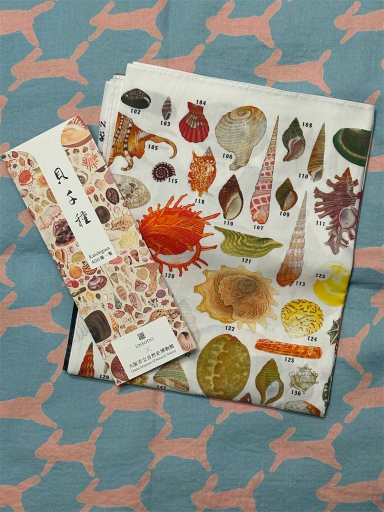 1738】貝千種 風呂敷 - 幸せ感じる☆日々の暮らし