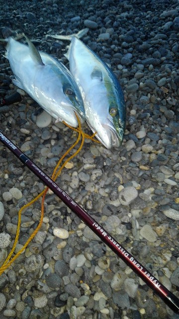 フィッシュマン ブリスト マリノ106MH - marrdayのブログ