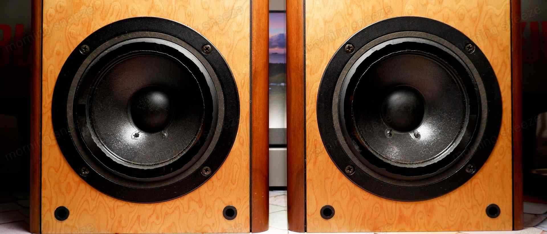 JBL A520 Vecchio をメンテナンスする - いつか消える文章