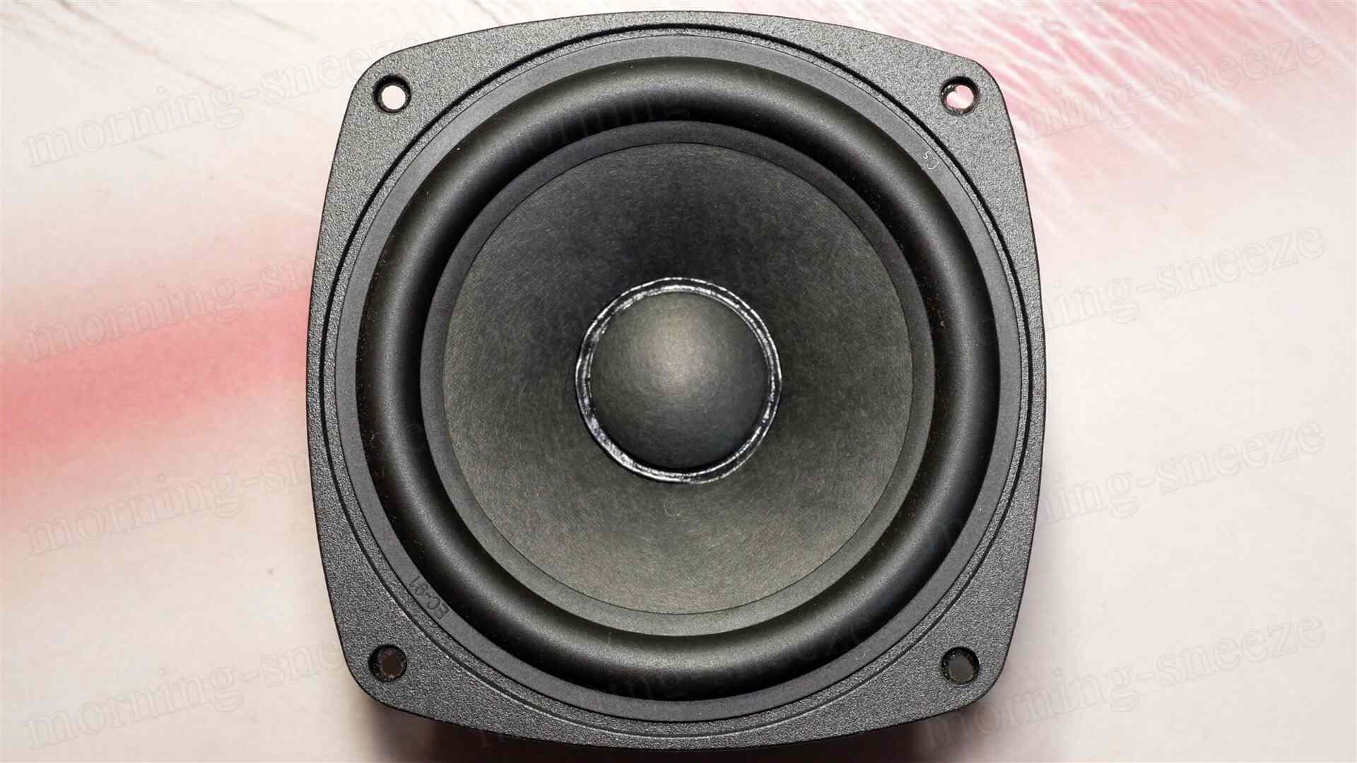 FOSTEX P804-S をチューンアップする - いつか消える文章