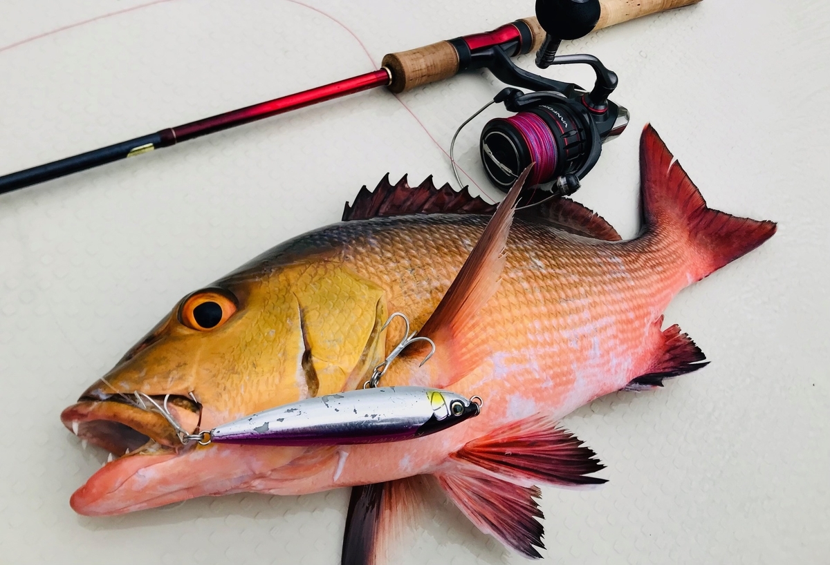 ワールドシャウラ2653R-3の1年使用レビュー - Train-Fishing