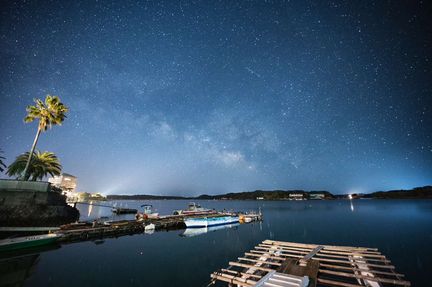 私と写真、自分らしい楽しみ方 – ごりかめ「心の奥に突き刺さる美しい