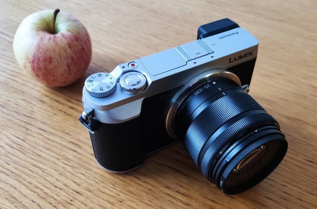 レビュー】LUMIX G 35-100mm f4.0-5.6：ボケ、解像感を作例付で【MFT中