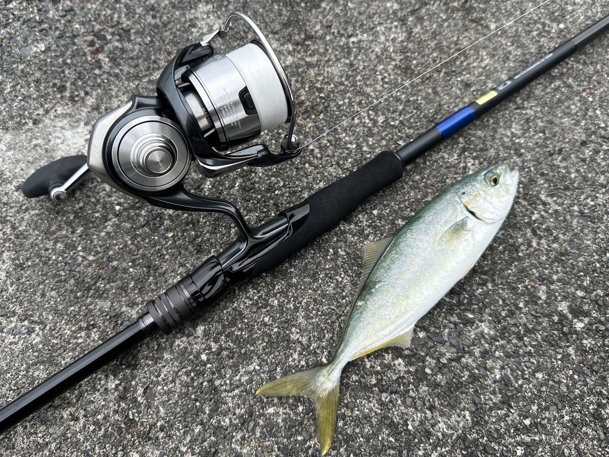 ダイワ24ドラッガーSX(SLSJ)】実釣インプレ！初夏シーズン使い込んだ