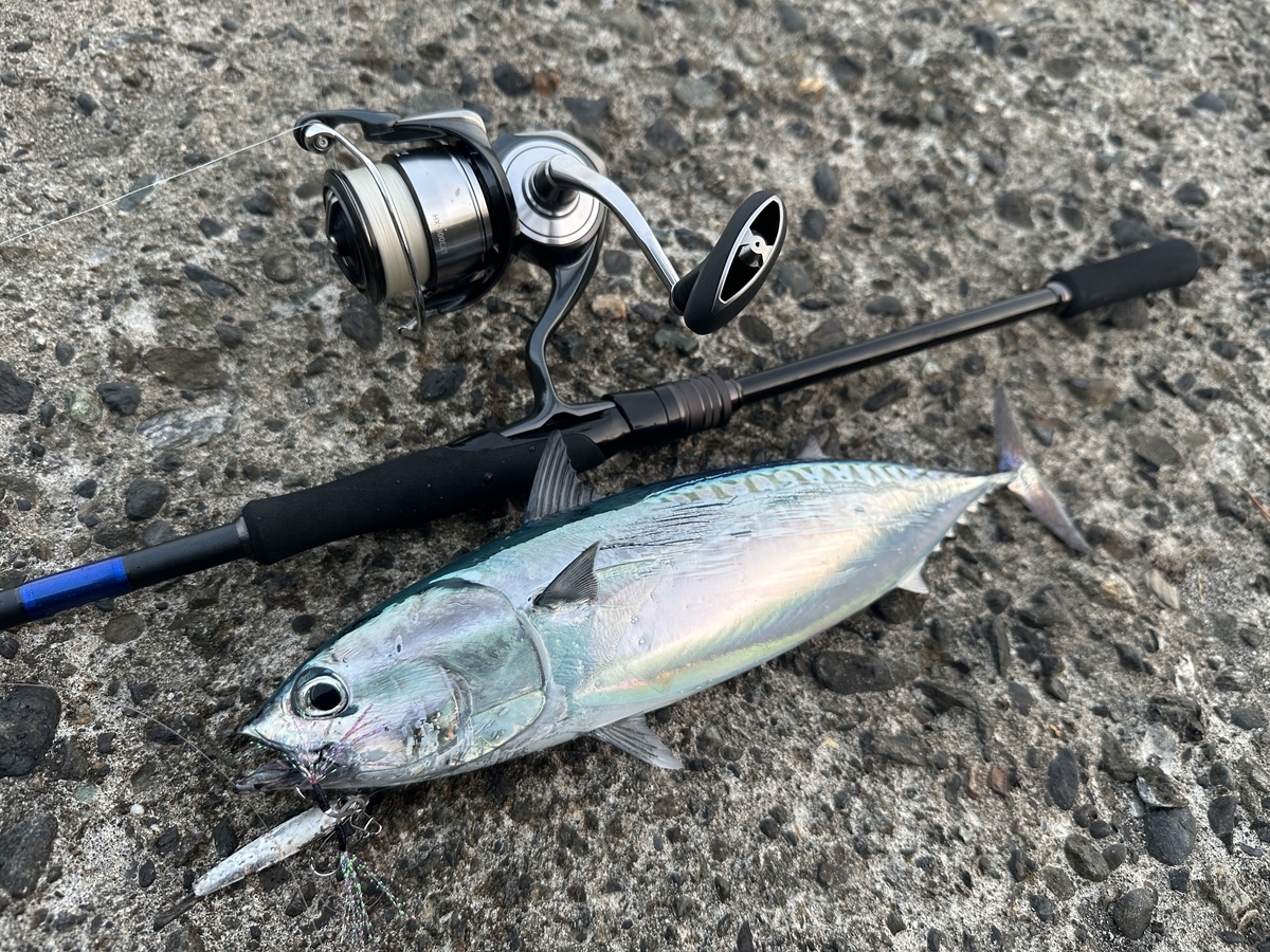 DAIWA/ダイワ ドラッガー SX SLSJ 94M ダイワ ドラッガーSX SLSJ 94M