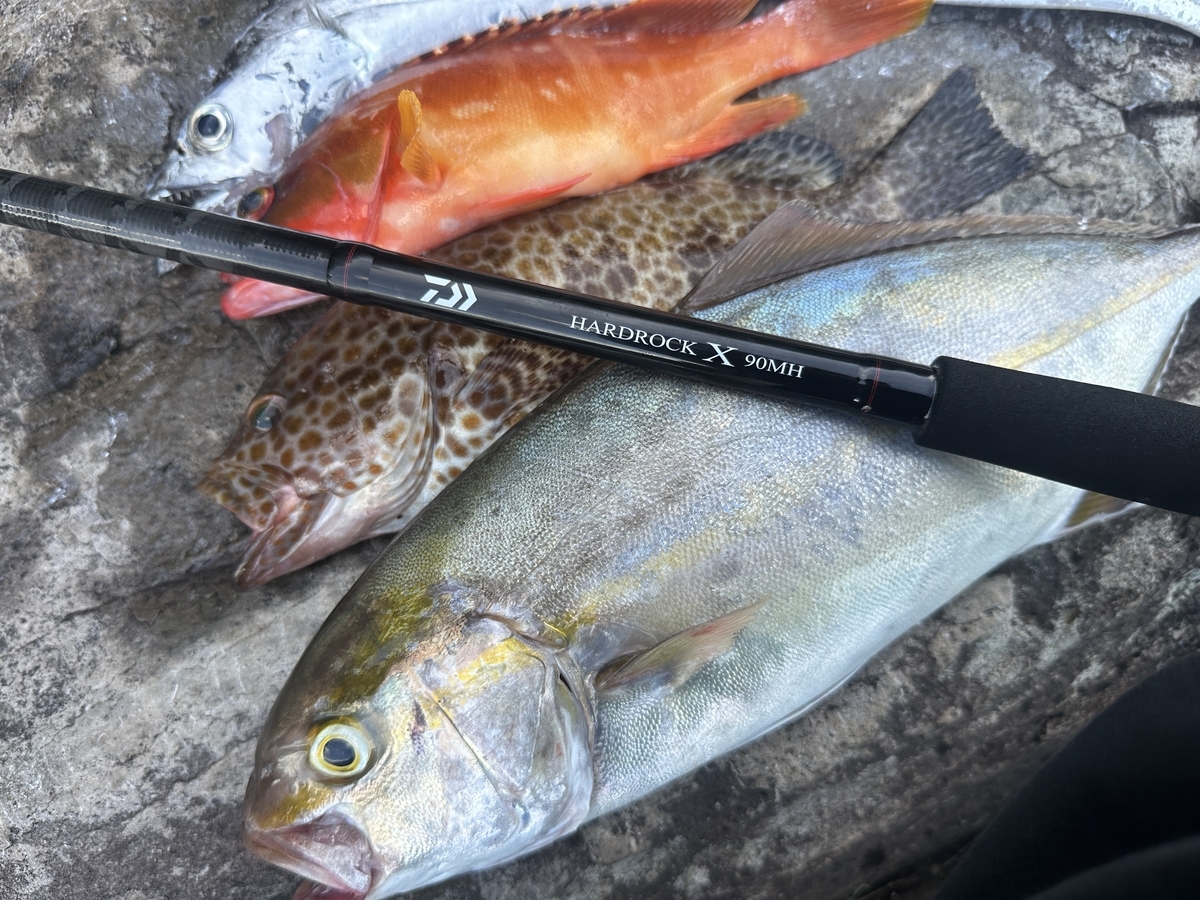 ダイワ24ハードロックX】実釣インプレ！ハタゲームでの評価と本音